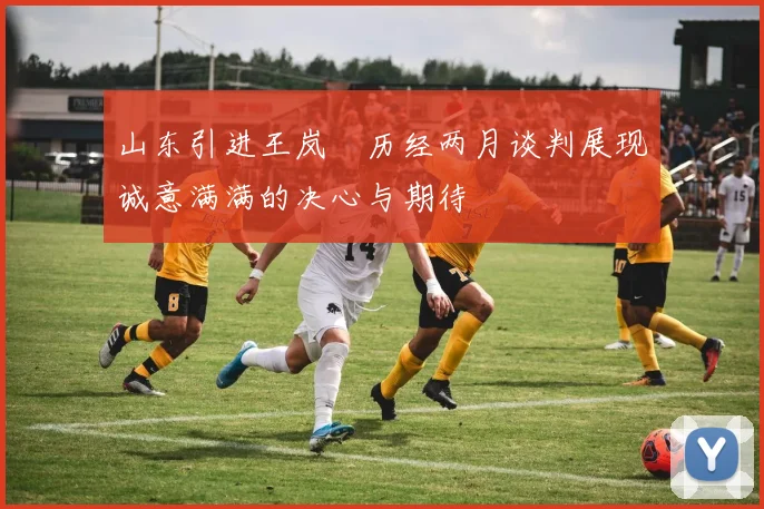 山东引进王岚嵚历经两月谈判展现诚意满满的决心与期待